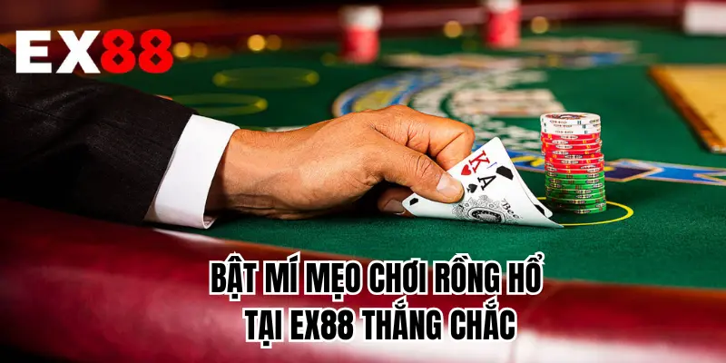 Bật mí mẹo chơi Rồng Hổ tại EX88 thắng chắc