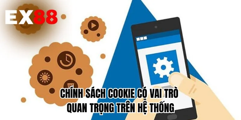 Chính sách cookie có vai trò quan trọng trên hệ thống 
