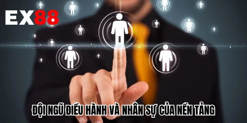 Đội ngũ điều hành và nhân sự của nền tảng