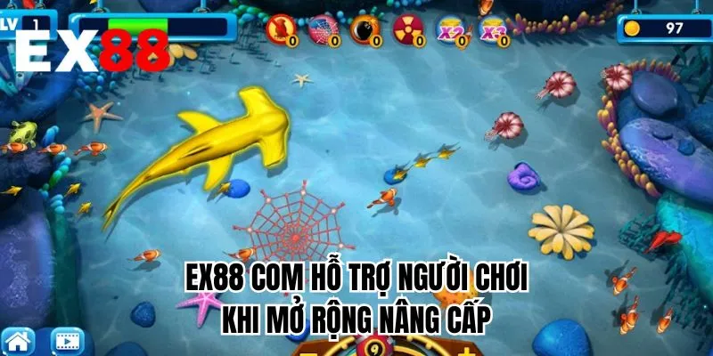 EX88 COM hỗ trợ người chơi khi mở rộng nâng cấp
