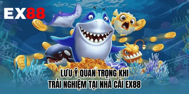 Lưu ý quan trọng khi trải nghiệm tại game EX88