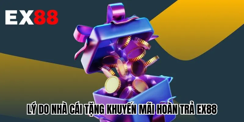 Lý do nhà cái tặng khuyến mãi hoàn trả EX88