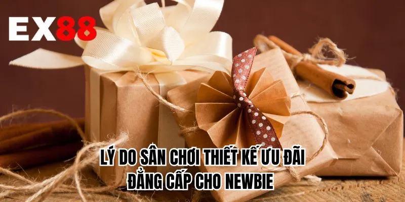 Lý do sân chơi thiết kế ưu đãi đẳng cấp cho newbie 