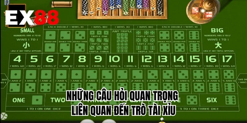 Những câu hỏi quan trọng liên quan đến trò tài xỉu 